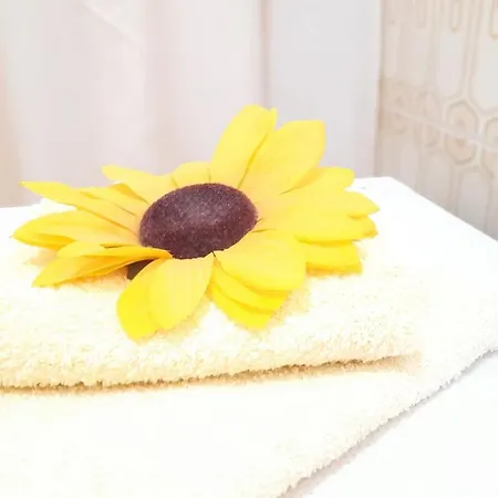 Rustic Apartment Split