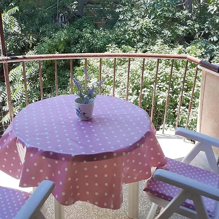 Rustic דירה